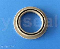 ptfe seals