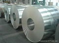 430 / 316L Cold Rolled Stainless Steel