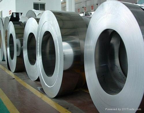 305 Stainless Steel Coil (SUS305)