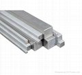 Stainless Steel Square Bar (202 302 304 310S)