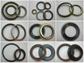 DIGUO AUTO PARTS--Oil seal