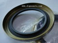 DIGUO AUTO PARTS--Oil seal 2