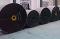 Nylon Conveyor Belt