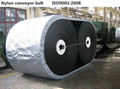 Nylon Conveyor Belt 2