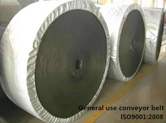 Cotton Canvas Conveyor Belt 2