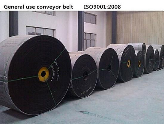 Cotton Canvas Conveyor Belt 4