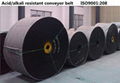 Acid/Alkali Resistant Conveyor Belt 2