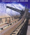Cold Resistant Conveyor Belt 3