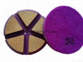 ceramic polishing pads