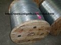 Electro Galvanized Iron Wire/low carbon steel wire 2