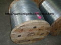 Hot dipped galvanized iron