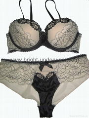 New stylish sexy ladies underwear bra and brief in lace