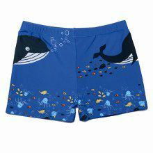 boy's swimwear