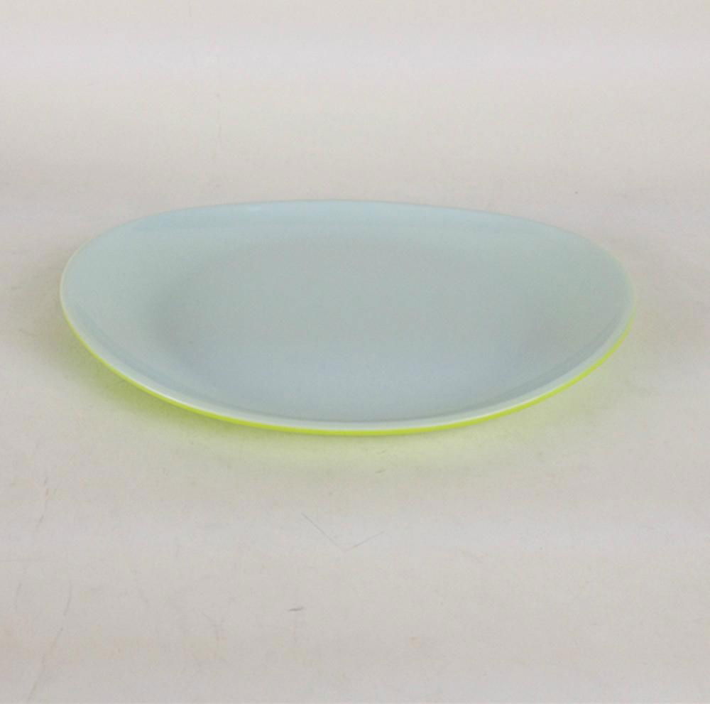 100% melamine plate  5