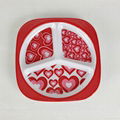 Melamine divided plates 5