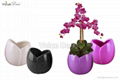 Ceramic flower planters (TC0020)