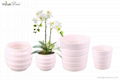 Round flower pot w stripe (DM0066)