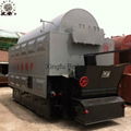 Industrial DZL coal & Biomass fired steam boiler for sale