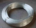 galvanized wire 2