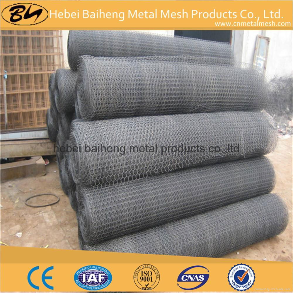 plastic coated chicken wire mesh for chicken farming 2