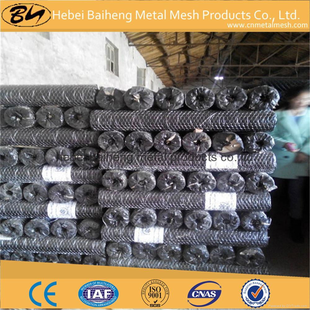 plastic coated chicken wire mesh for chicken farming 5