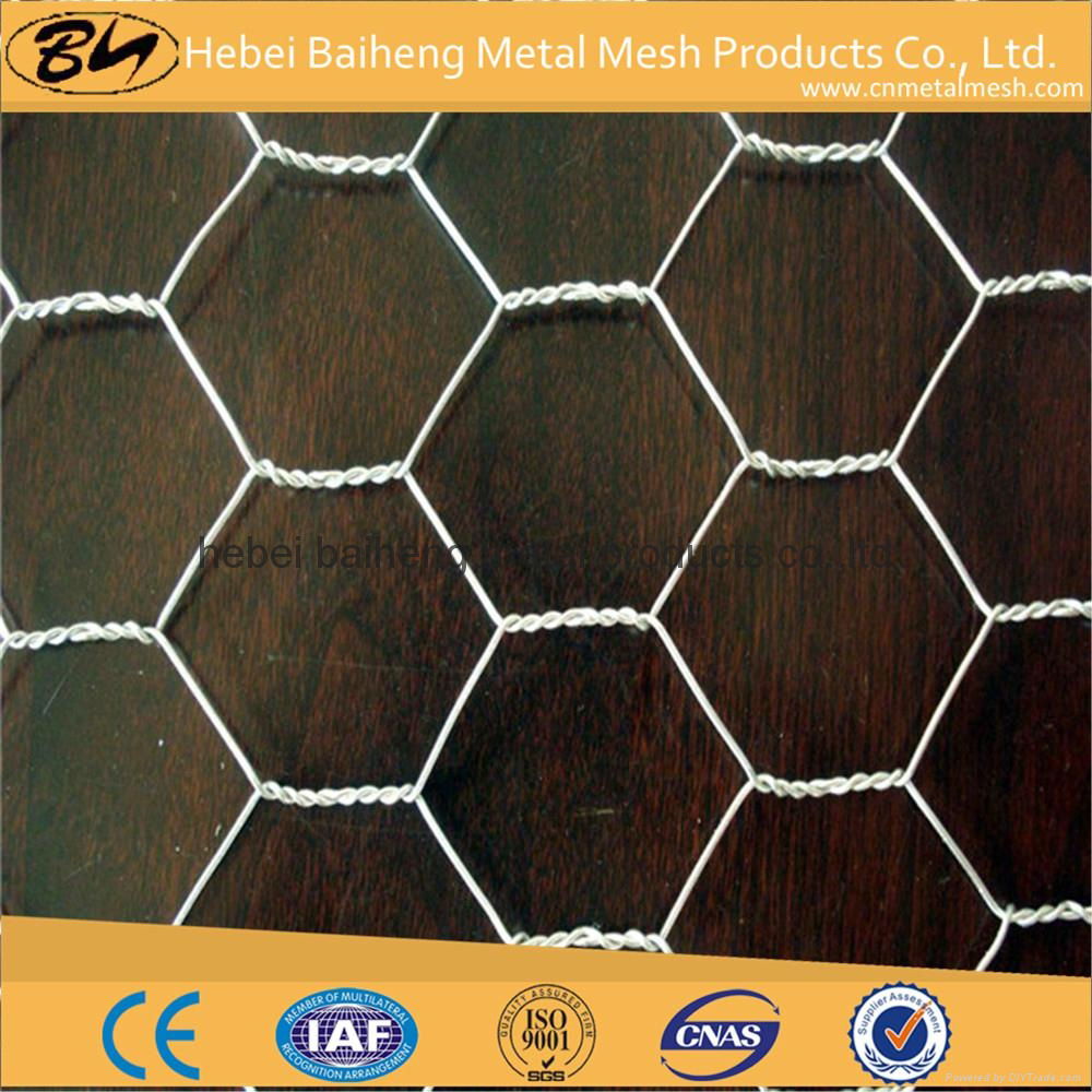 plastic coated chicken wire mesh for chicken farming 4