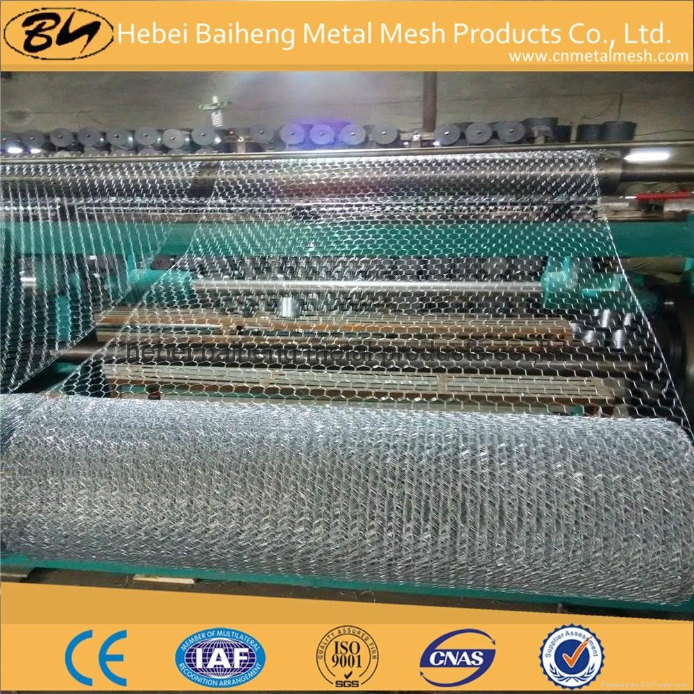 plastic coated chicken wire mesh for chicken farming 3