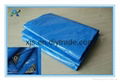 High Quality Factory Waterproof PE Tarpaulin 1