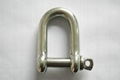 stainless steel AISI304 AISI316 bow shackle 1