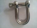 stainless steel AISI304 AISI316 bow shackle 3
