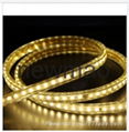 5050-110/220V LED Strip Light