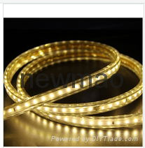 5050-110/220V LED Strip Light