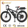 1500W black frame electric bicycle 1