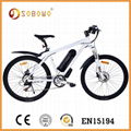 S4-1 bottle battery electric bike