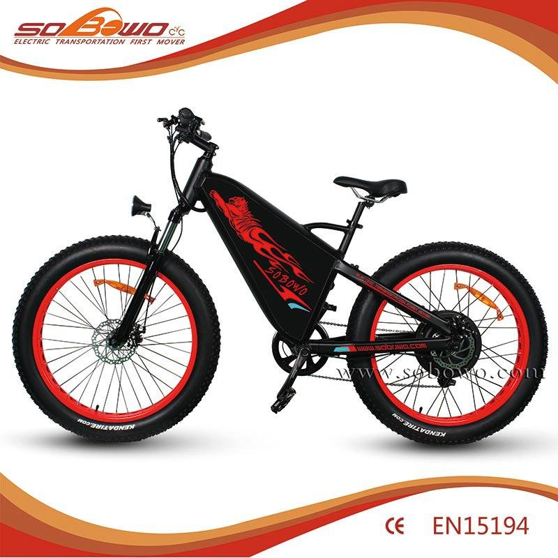 TT high power 1000W 48V 29ah big battery capacity 130KM range electric bicycle 2
