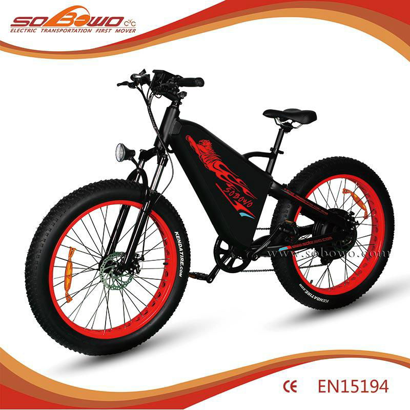 TT high power 1000W 48V 29ah big battery capacity 130KM range electric bicycle