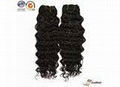 Brazilian Virgin Hair BV6A-002