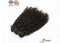 Brazilian Virgin Hair BV6A-005 1