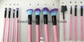 12pcs wood handle makeup brush set face brush cosmetic brush 12