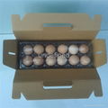 Recycled Folding Box for Eggs