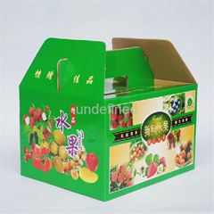 FEFCO 0217 Folding Corrugated Carry Box for Fruits & Eggs 