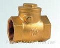 check valve 1