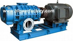  Roots Vacuum Pump