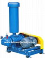  Roots Vacuum Pump 3