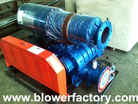 Roots blower used for aquaculture 3