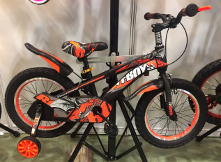 China tiianzheng bicycle company new product kids bike 