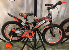 China tiianzheng bicycle company new product kids bike 