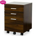 Hot Sale Filing Cabinet with Casters Factory 3