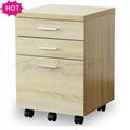 Hot Sale Filing Cabinet with Casters Factory 4