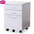 Hot Sale Filing Cabinet with Casters Factory 2